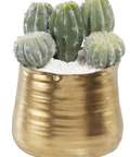 Cactus Pick 5" Decor Title: Default Title