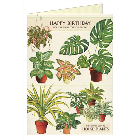 Cavallini "Happy Birthday House Plants" Greeting Card