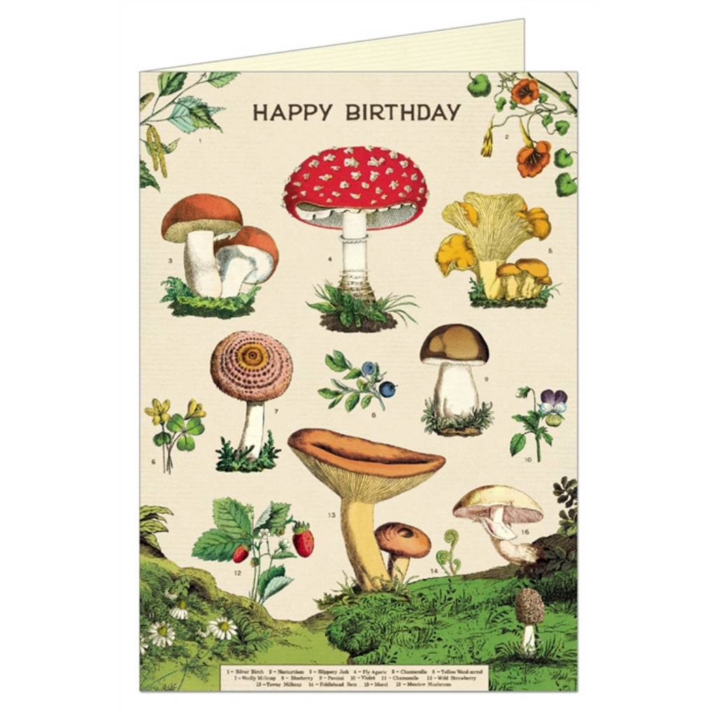Cavallini Happy Birthday Greeting Card Vintage Mushrooms Forage