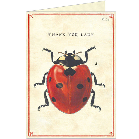 Lady Bug Thank You Card Cavallini