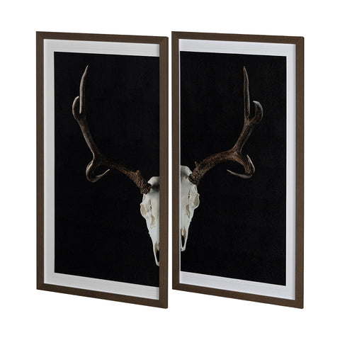 Deer Skull Diptych Wall Art by Chris Dunker