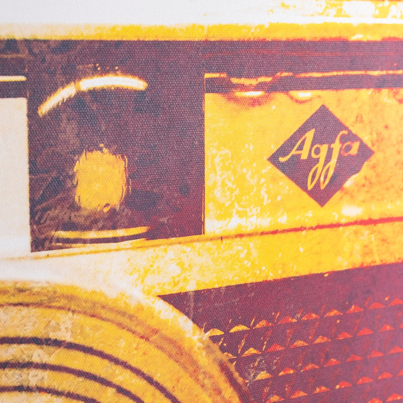 ISO-Rapid Vintage Camera Wall Art