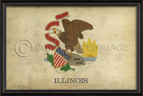 Illinois State Flag Wall Art