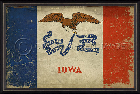 Iowa State Flag Wall Art