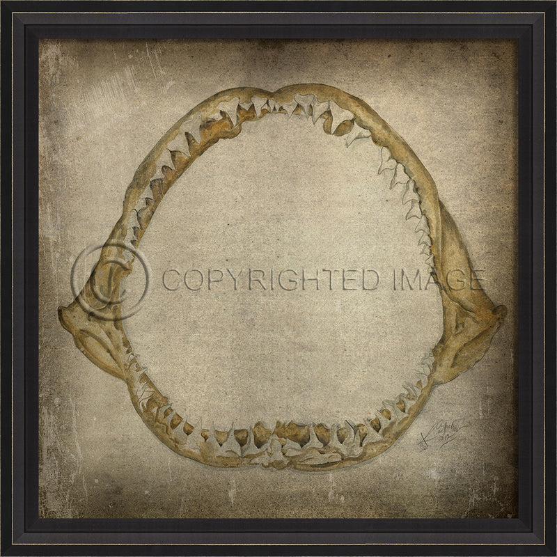 Shark Jaws III Wall Art