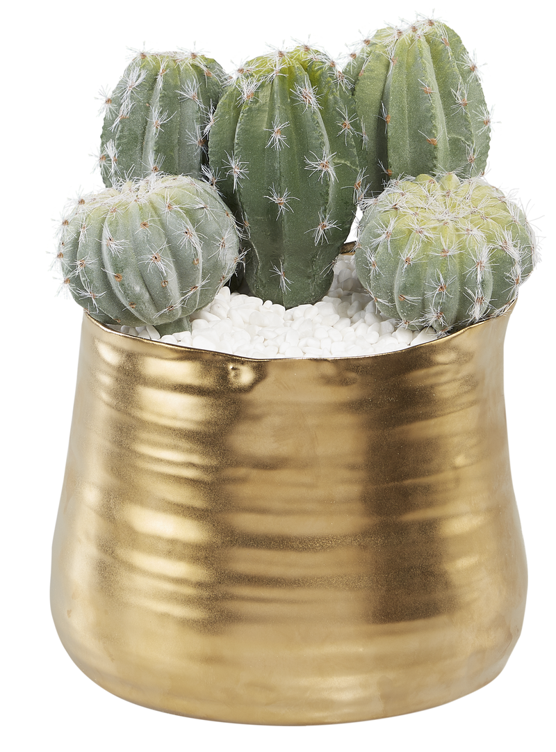Cactus Pick 5" Decor Title: Default Title