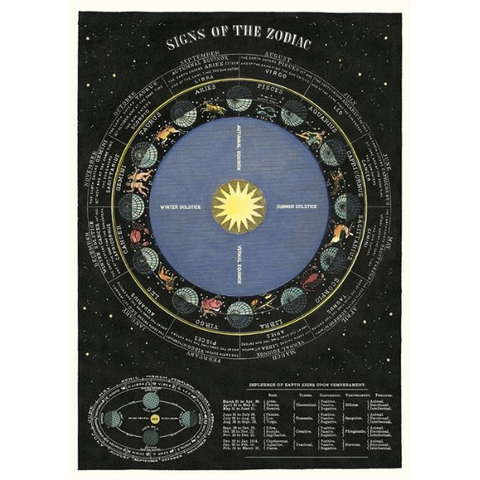 Cavallini Zodiac Chart Poster Signs Of The Zodiac Astrology Themed Wall Decor Poster