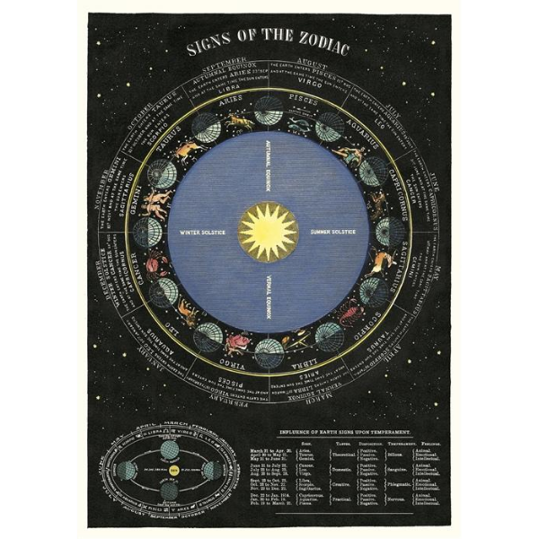Cavallini Zodiac Chart Poster Signs Of The Zodiac Astrology Themed Wall Decor Poster