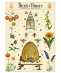 Cavallini Bees & Honey Poster + Beekeeper's Guide + Suitable For Framing + Vintage Inspired Imagery
