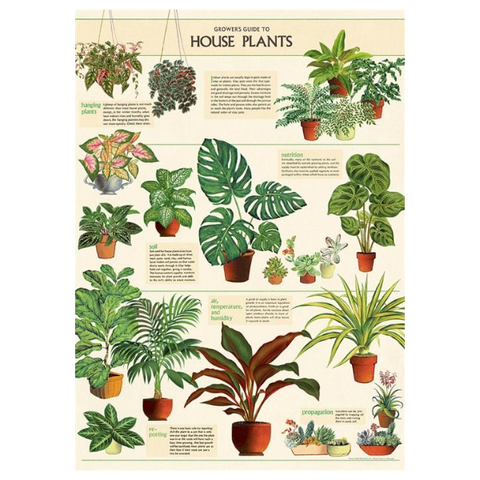 Cavallini Grower's Guide To House Plants Vintage Inspired Poster + Suitable for framing + gifts for plant lovers + plant themed decor wall art