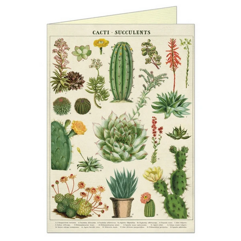 Cavallini "Cacti & Succulents" Greeting Card