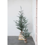 Faux Pine Tree in Burlap Wrapped Base, 63" H