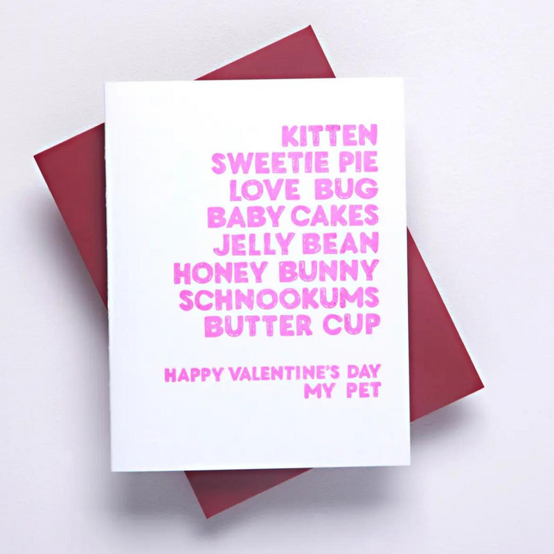Funny Witty Valentines Day Card Pet Names