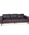 Mid Century Antique Ebony Sofa in Top-Grain Leather and Wood
