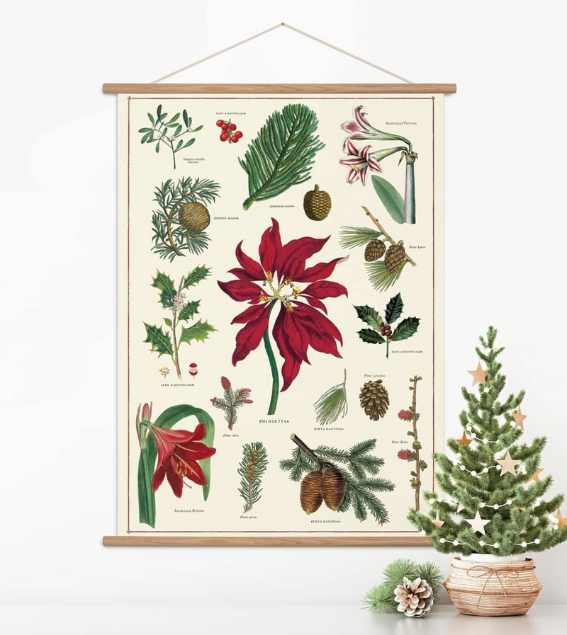 Cavallini Christmas Botanica Poster