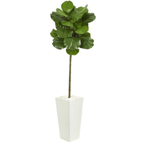 Faux Fiddle Leaf Tree in White Tower Planter 5.5'