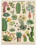 Cavallini Cacti + Succulents 1000 piece puzzle + vintage style + jigsaw + best puzzle 