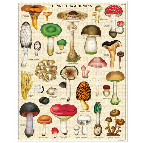 Cavallini Mushrooms Vintage 1000 Piece Jigsaw Puzzle + Best Puzzle + Family Time + Vintage Style + Rainy Day Activities