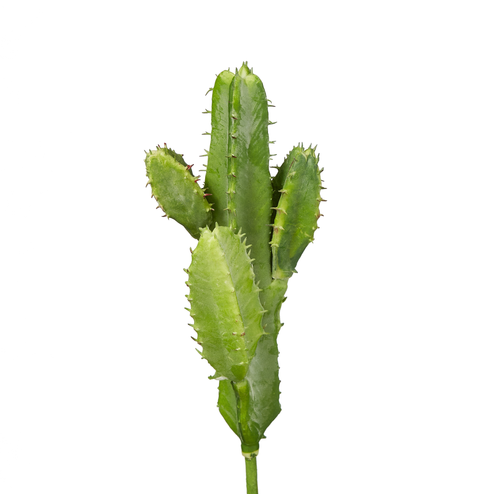Cactus Pick 7" Decor Title: Default Title