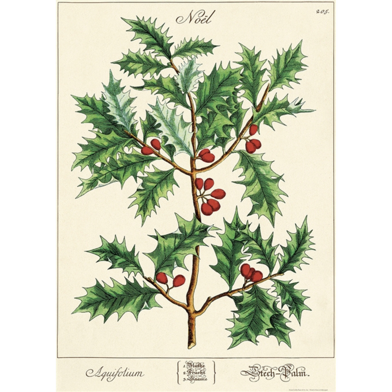 Cavallini Holly Poster