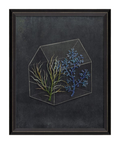 BC Terrarium Another Soul to Cling To Sm Wall Art
