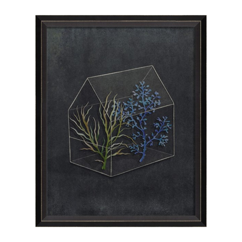 BC Terrarium Another Soul to Cling To Sm Wall Art